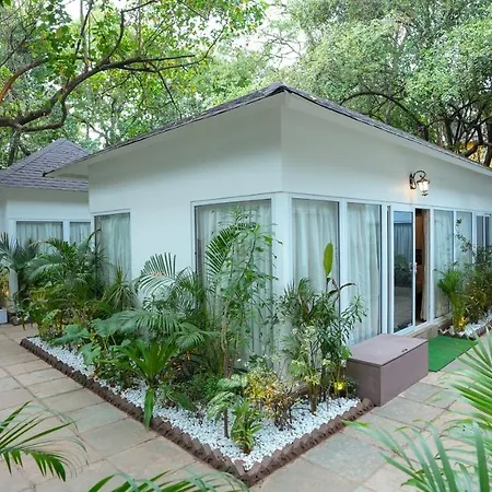 Swimup - Suites With Private Pool , Vagator